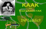 KAAKbusse copy.jpg