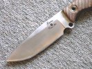busse6.jpg