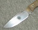 busse7.jpg