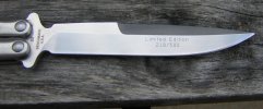 BM 42SS blade.jpg