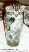 kitten_in_glass.jpg