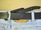 on belt.jpg