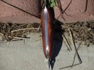 Dsc00044.jpg