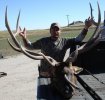 Elk1.jpg