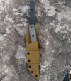 ESEE4mCoyoteFront33.jpg ESEE4mCoyoteFront33.jpg