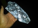 IMG-20111206-00398.jpg