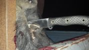 2011-12-06_19-37-51_198.jpg