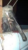 2011-12-06_19-38-27_999.jpg