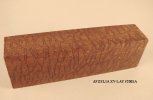 Afzelia XY Lay 2001A.jpg