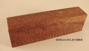 Afzelia XY Lay 2001B.jpg