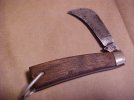 schrade 186.jpg.JPG schrade 186.jpg.JPG