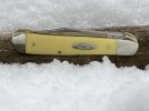 YellowTNFeb1 (1).JPG