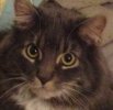 SmokeyFace.jpg