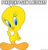 i-thought-i-saw-a-kephart_Small.jpg
