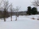 Feb 14 2021 1.jpg
