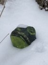 Feb 14 2021 2.JPG