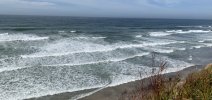 956DF339-64E6-4789-98F8-A7405BF6CEC9.jpeg
