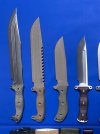 busse a.jpg
