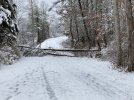 Deer Lodge 2-21 1.JPG