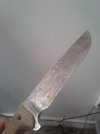 20200719_135921.jpg