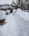 20210216_snow.jpg