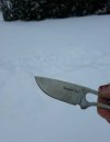 Artic 2 (2).jpg Artic 2 (2).jpg