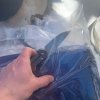 E7FE0167-5FEB-48CA-8301-398020184176.jpeg