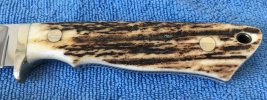 Corbet Sigman - Hunter with stag handle - pic 3.JPG