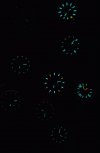 FD638988-505D-461B-8FCD-C7D3BC0ED0B8.jpeg