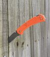 orangeSlim112 1.JPG
