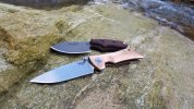 Cu monkey bull trout.jpg