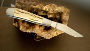 0303-mammoth-trapper-1.jpg