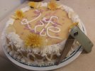IMG_20210304_232051_700.jpg