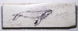 scrimshaw wal1 (5 von 5).jpg