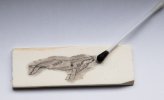 scrimshaw wal1 (3 von 5).jpg