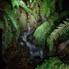 IMG_20210313_220639_850.jpg