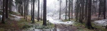 threema-20210314-132052535.jpg