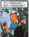 Tintin.jpg