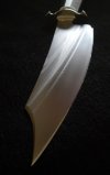 tai bowie 2.jpg