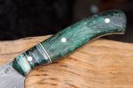 Feather damacus Petty 008.JPG