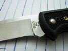 442 2010.jpg
