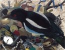 Magpie thief 2.jpg