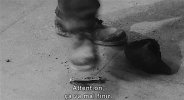I Compagni.jpg