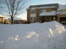 IMG_1904.jpg