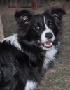 Toby 6_5_2011 007.jpg