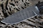 Green Hunter 049.jpg