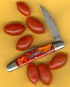 Tomato 62 A.jpg