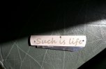 IMG_20210413_102445.jpg