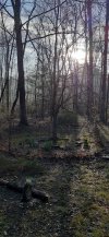 20210413_073202.jpg