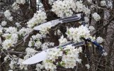 Inkosi_Blue&Black-InFlowers1-.jpg
